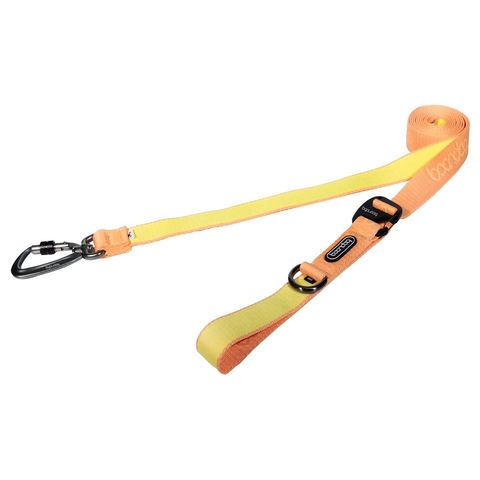 imgi_29_플레이리쉬250320_피치