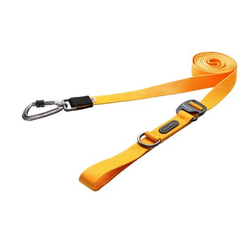 imgi_31_옐로우