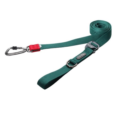 imgi_31_그린