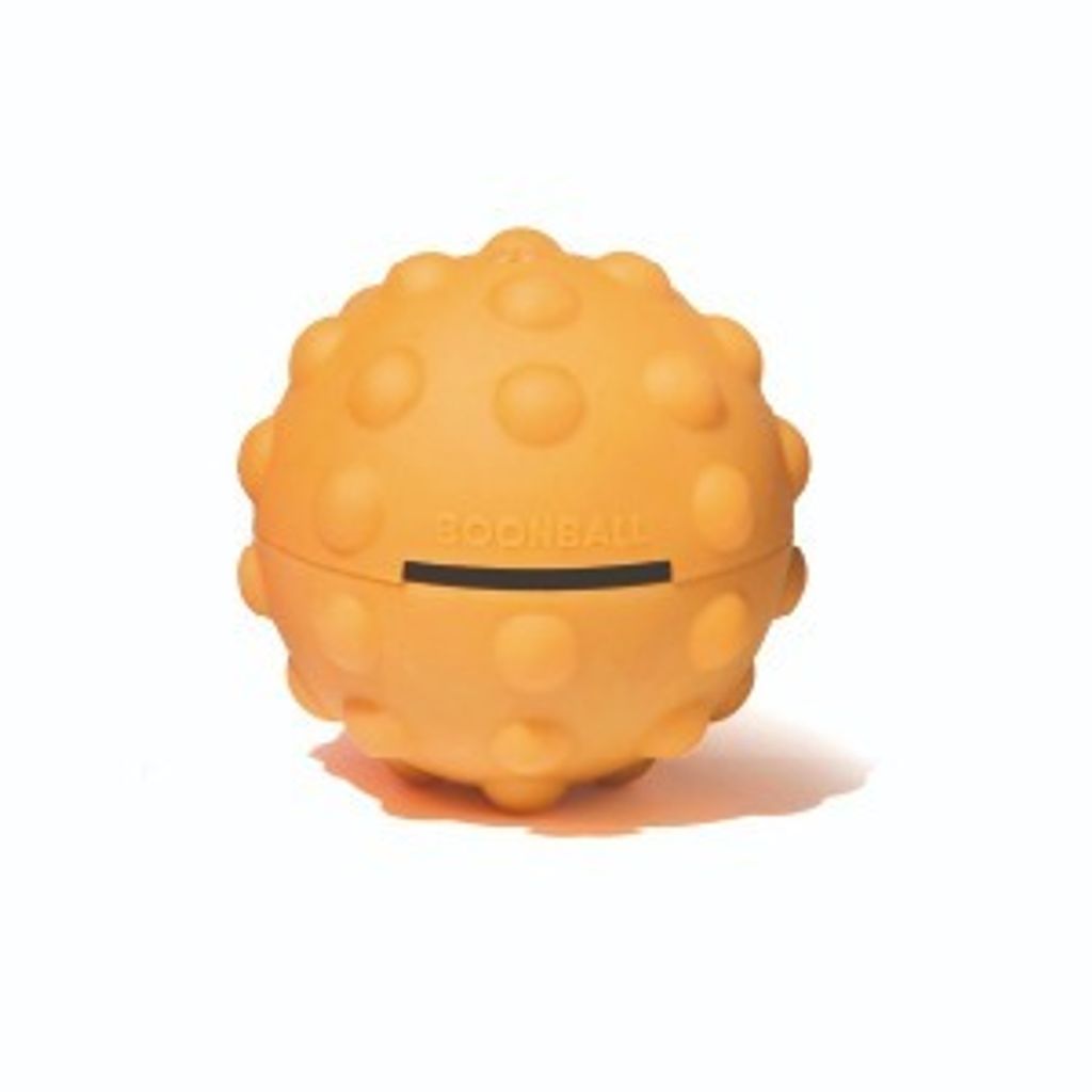 imgi_11_분볼_오렌지-1