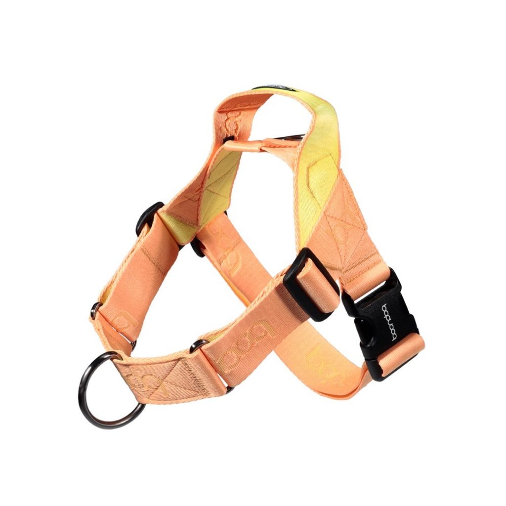 imgi_24_0109하네스_피치