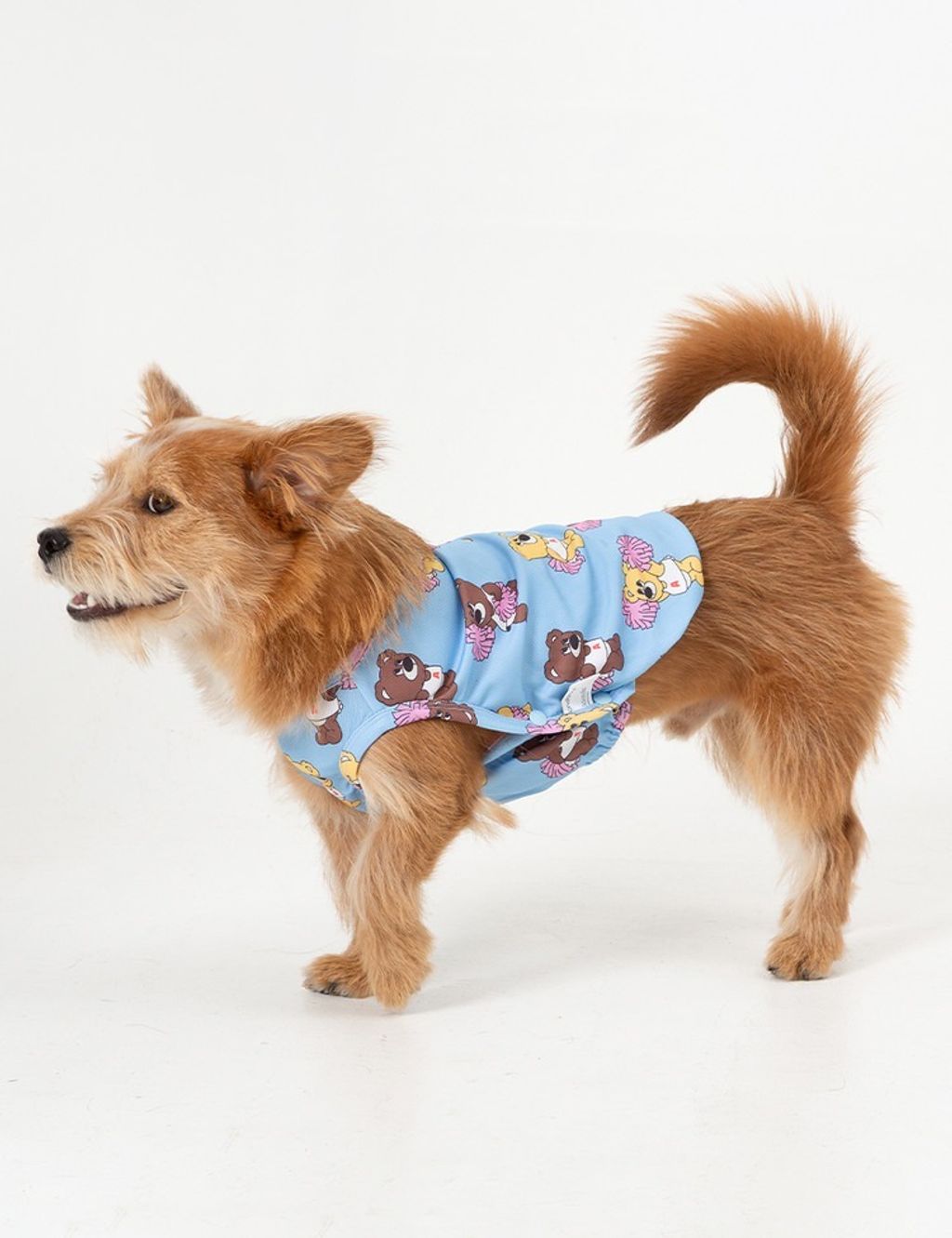 imgi_9_a07ebec9fd45a (1)