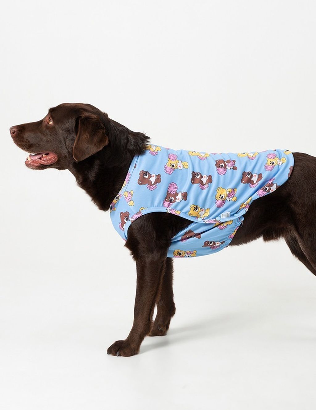 imgi_11_ad5731062630c