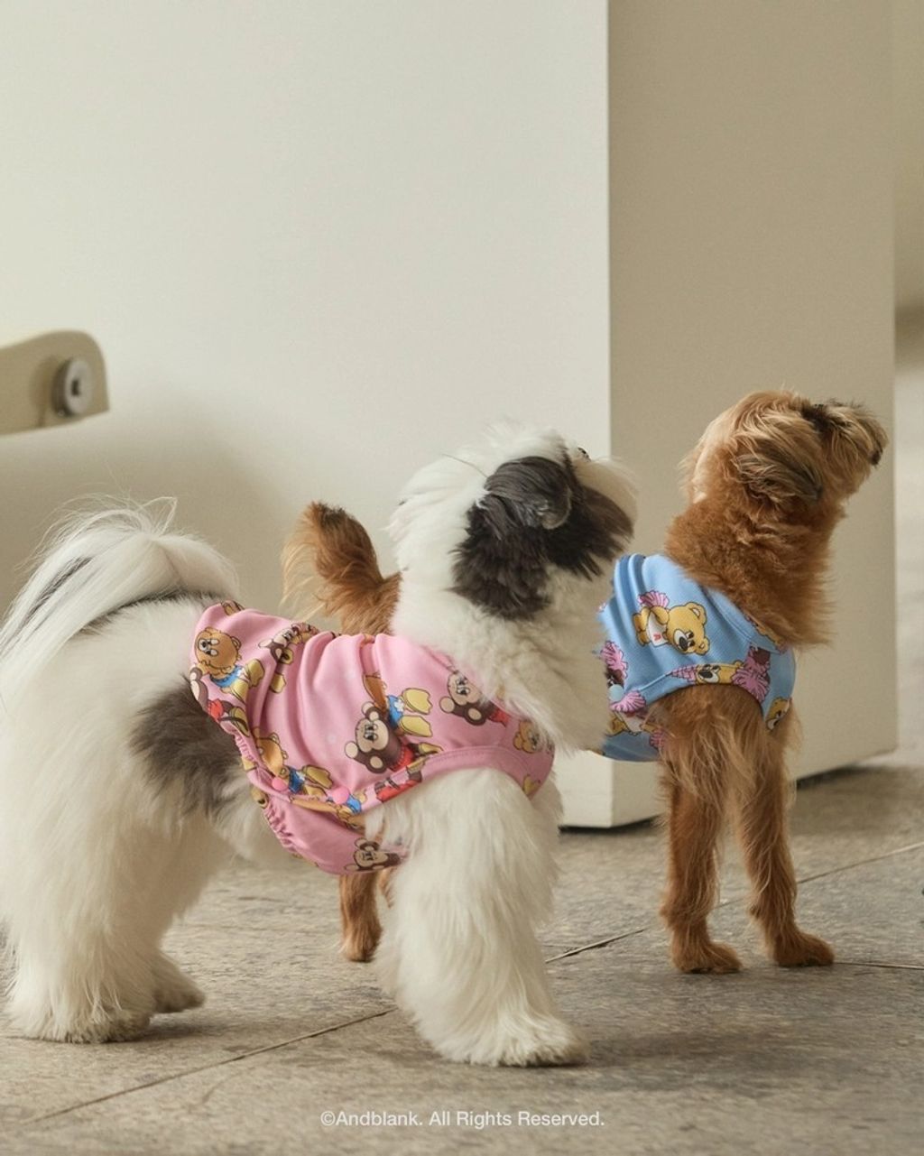 imgi_71_de04e322388d4 (1)