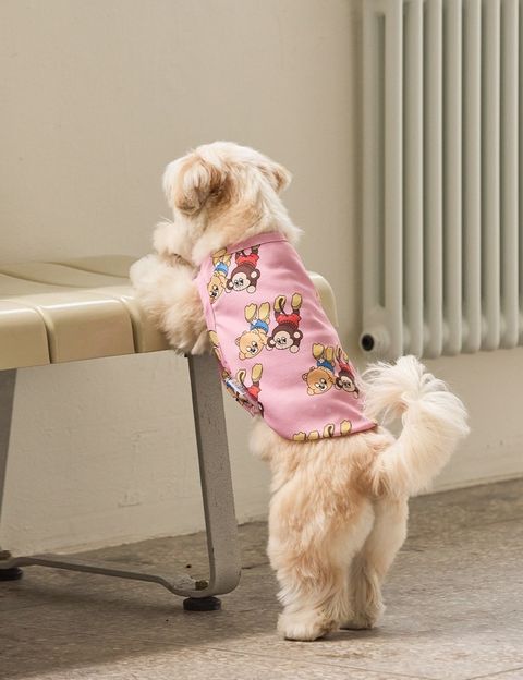 imgi_10_c91ac9c2e04ff (1)