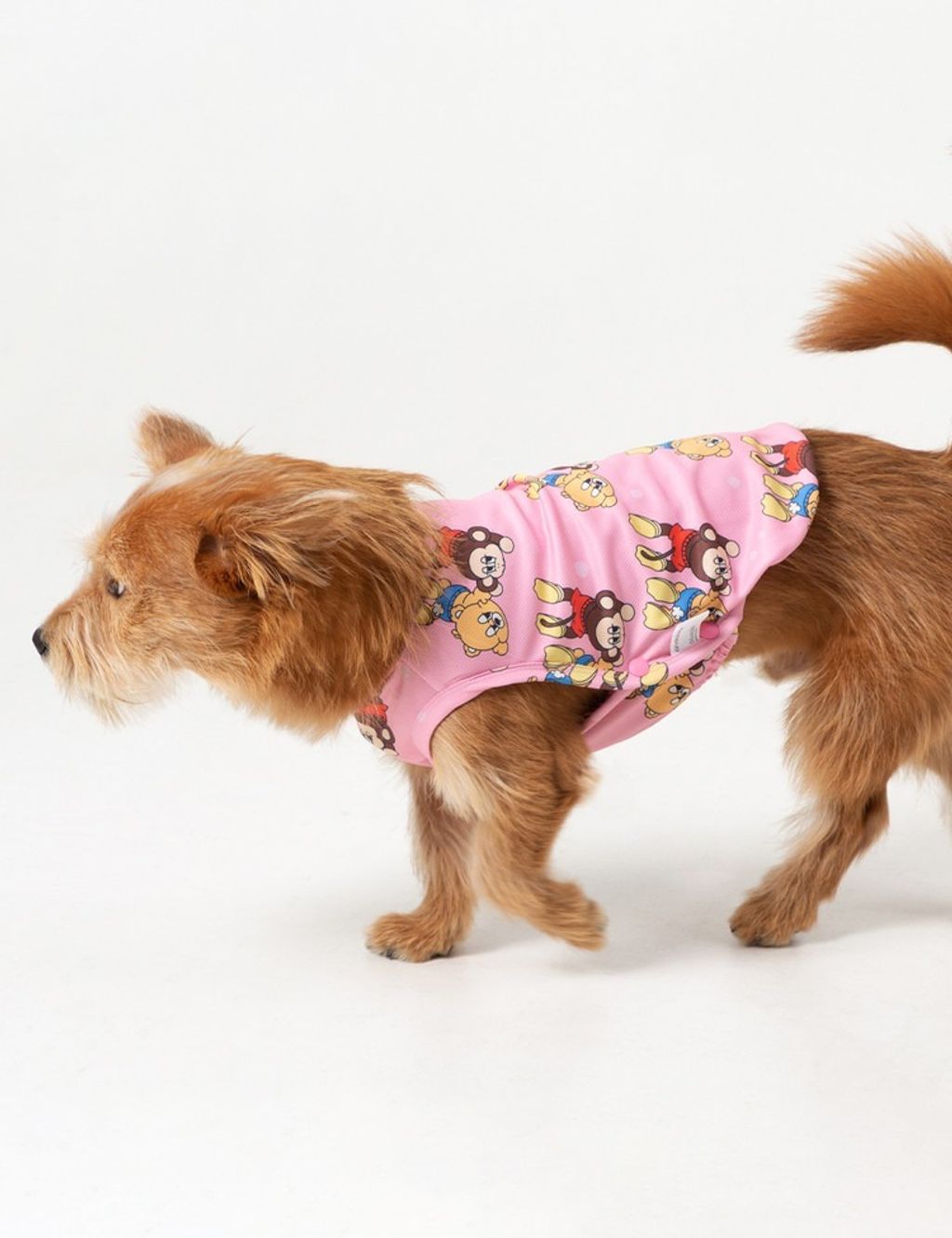 imgi_9_5e107aeff9f82 (1)