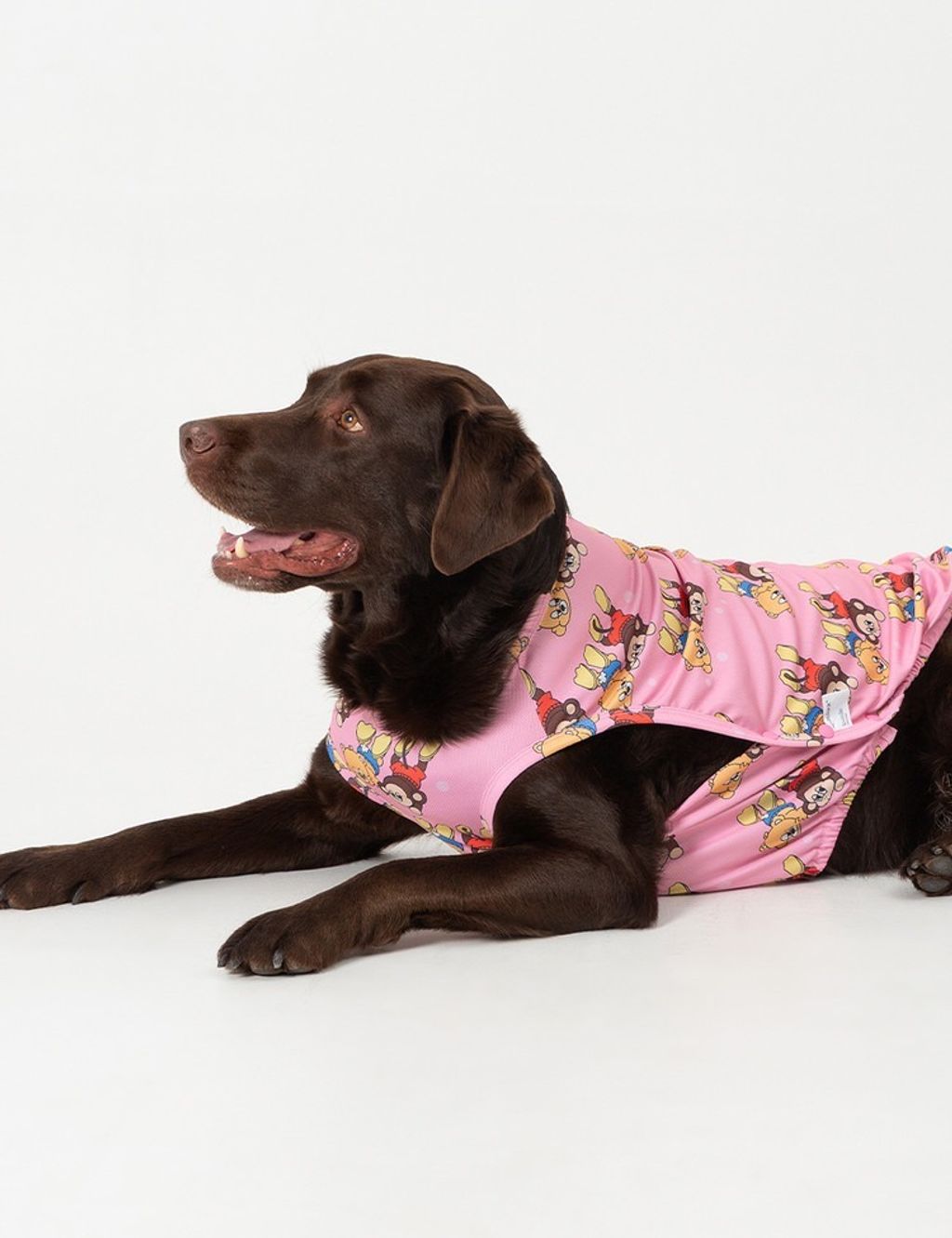 imgi_11_6f37fdcce00af (1)