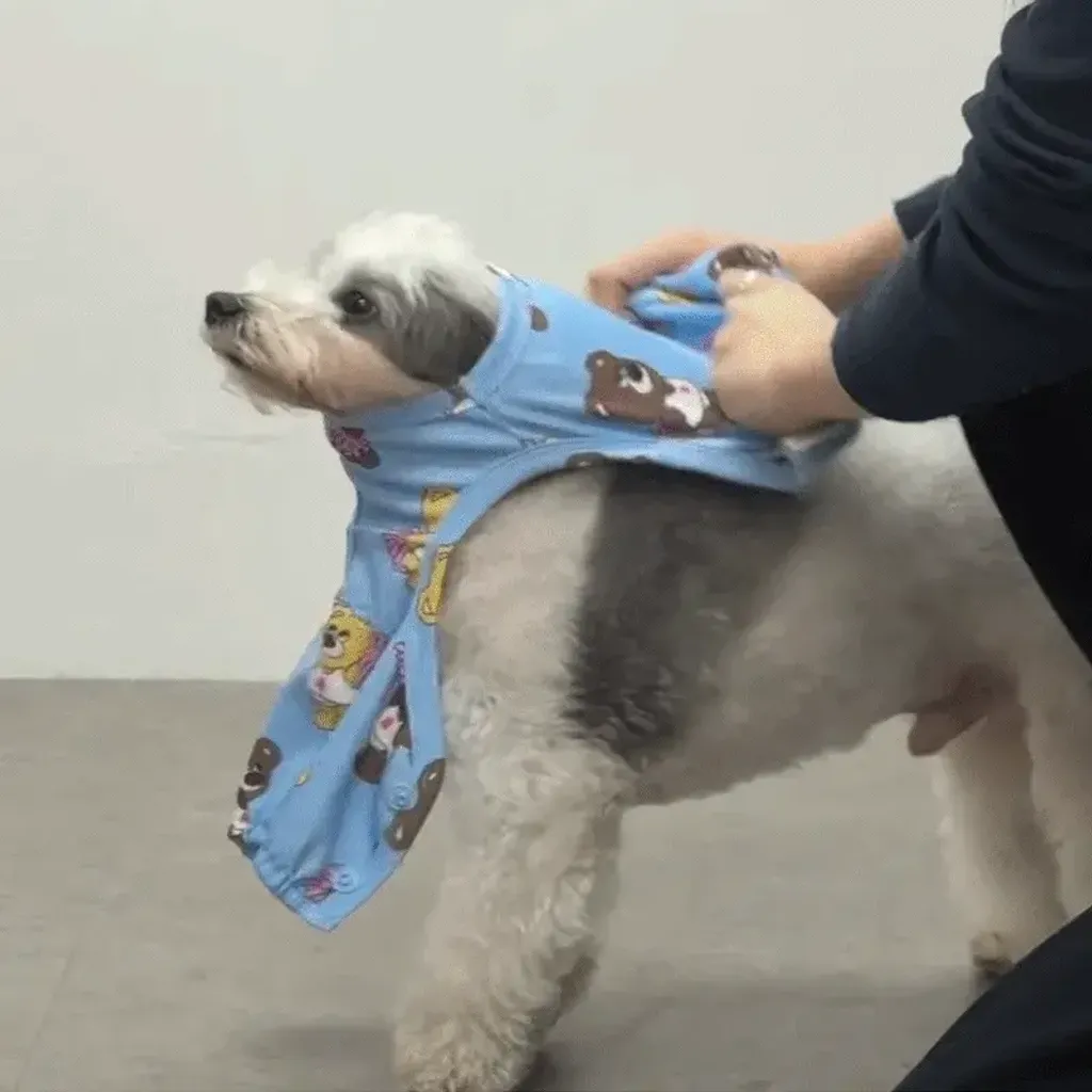 imgi_138_4063d7998d48a