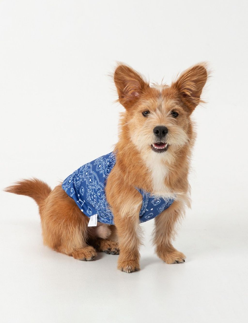 imgi_9_610a5aceb5985