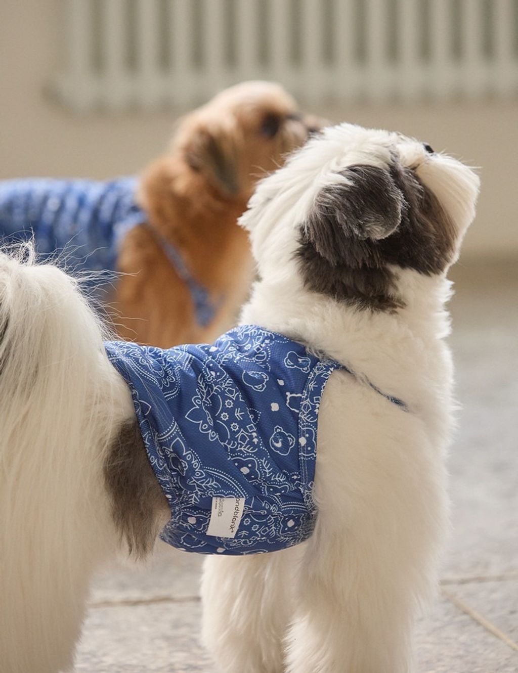 imgi_10_6fdf5ed5abe74