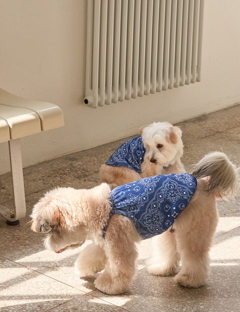 imgi_11_b646f6e40a558