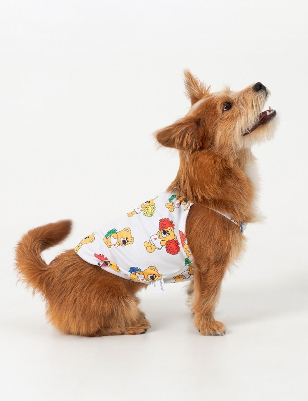 imgi_9_843025369b332