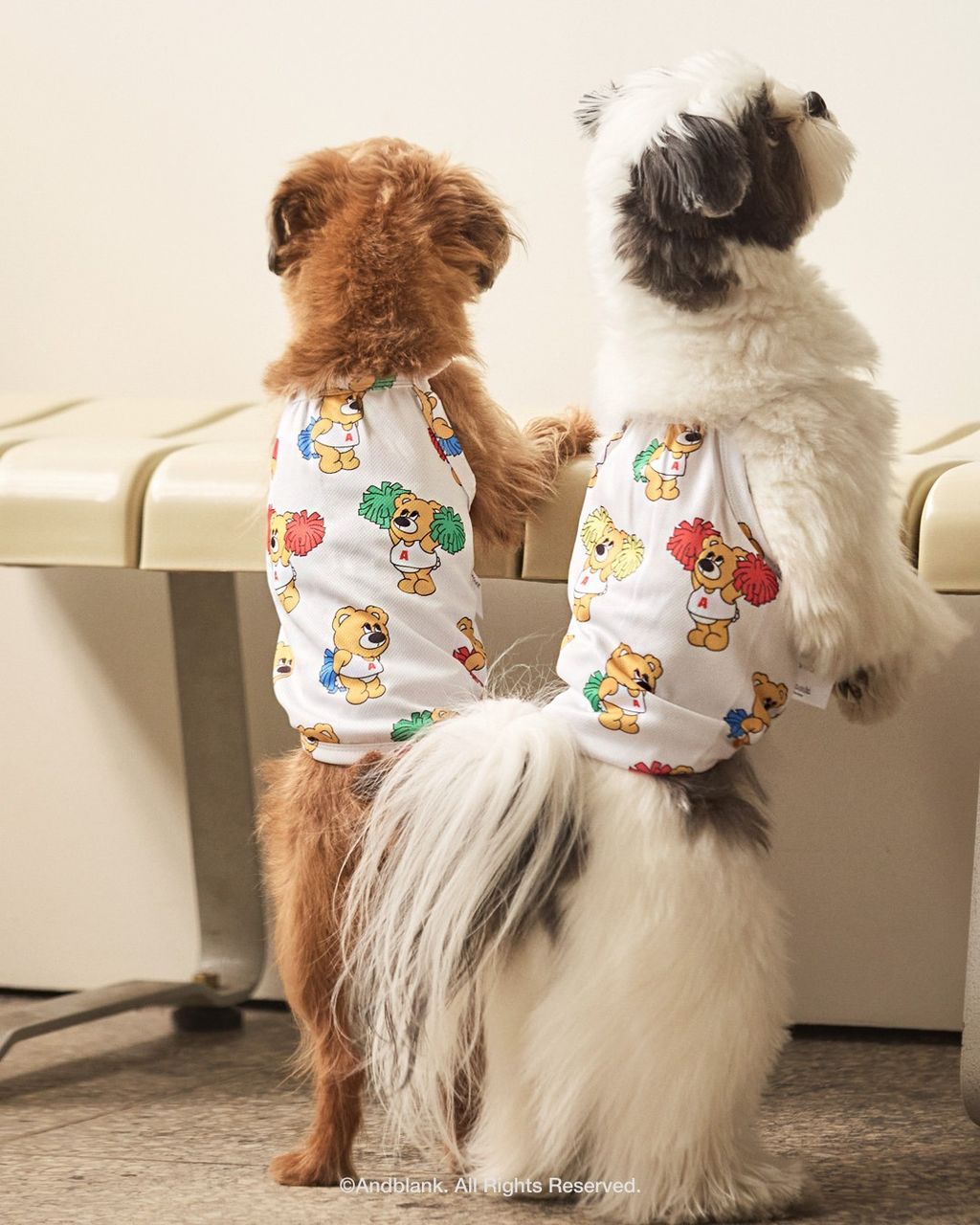 imgi_124_8e7991a9287b4