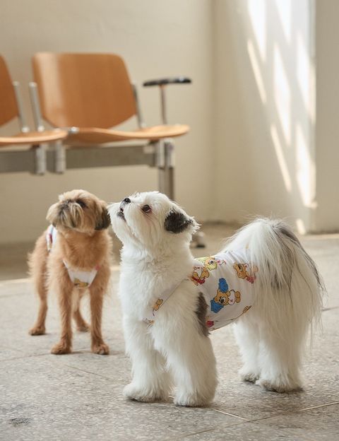 imgi_11_d1821d24c511c