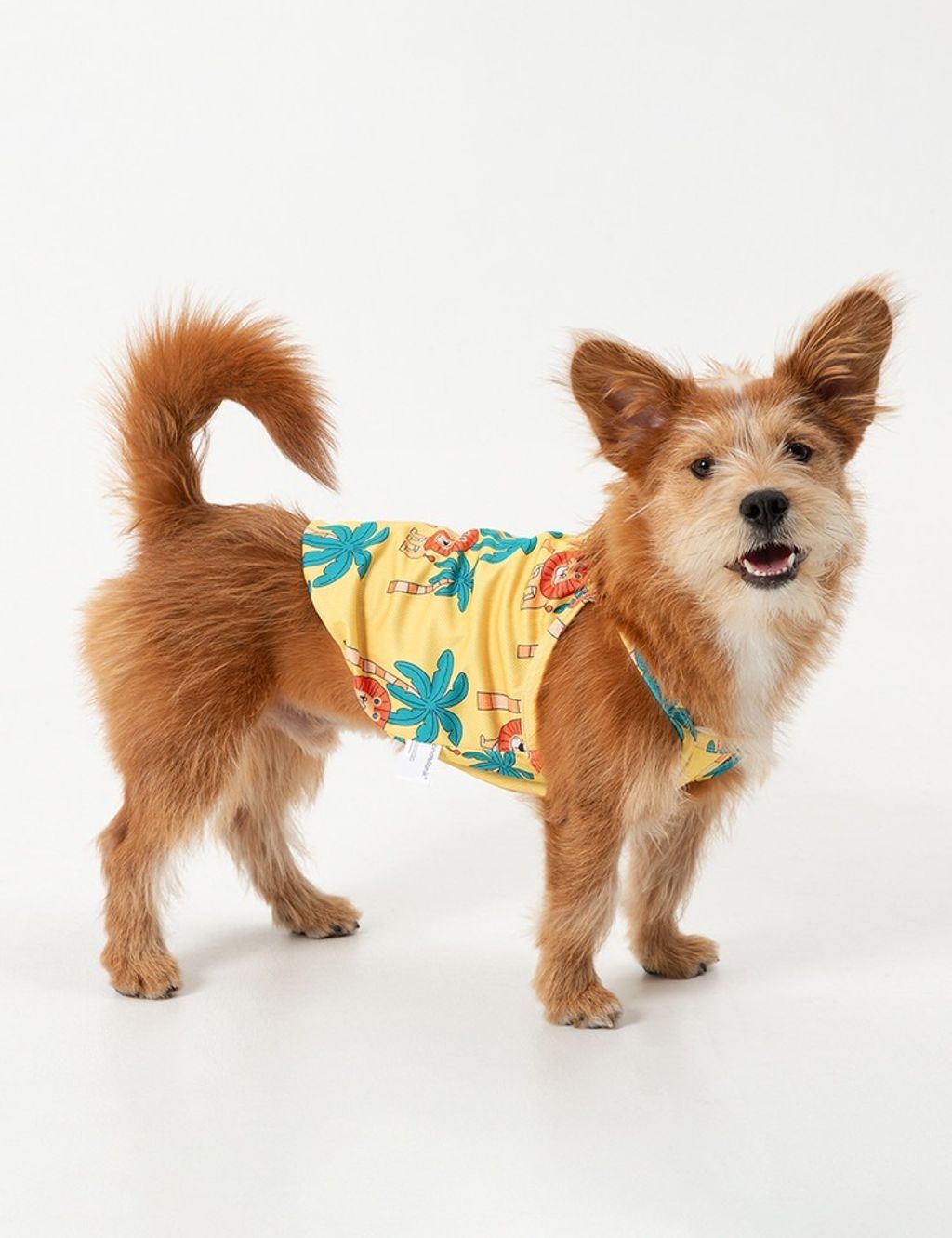 imgi_9_e9745b64dddef