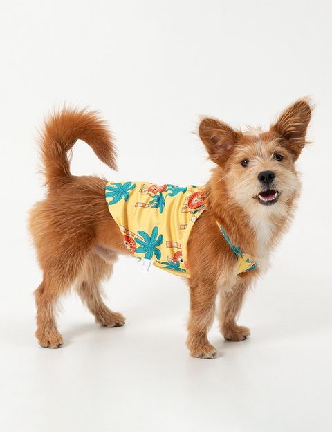 imgi_9_e9745b64dddef