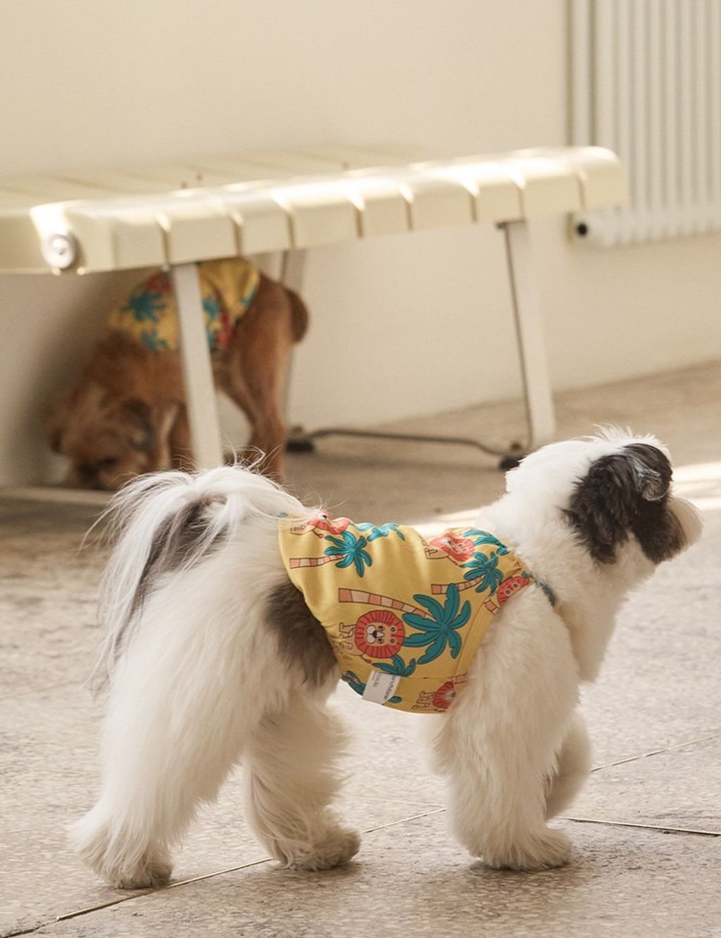 imgi_10_6f0e5a30a4cd6