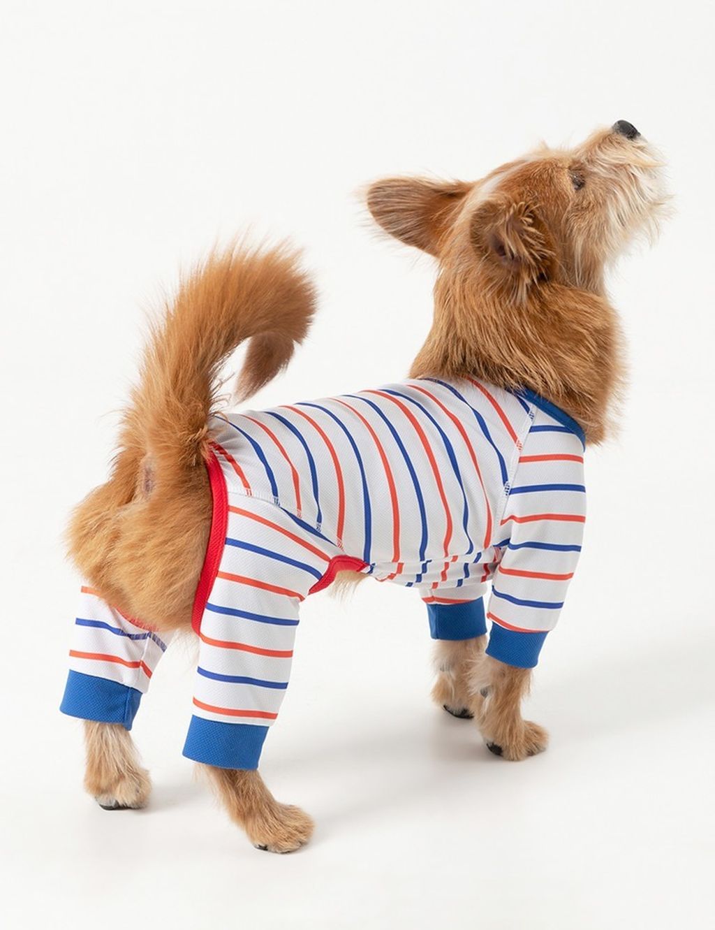 imgi_9_2a8921e1a6c06