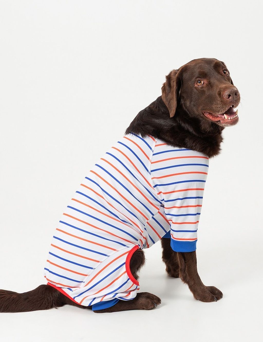 imgi_10_fd19610f4941a