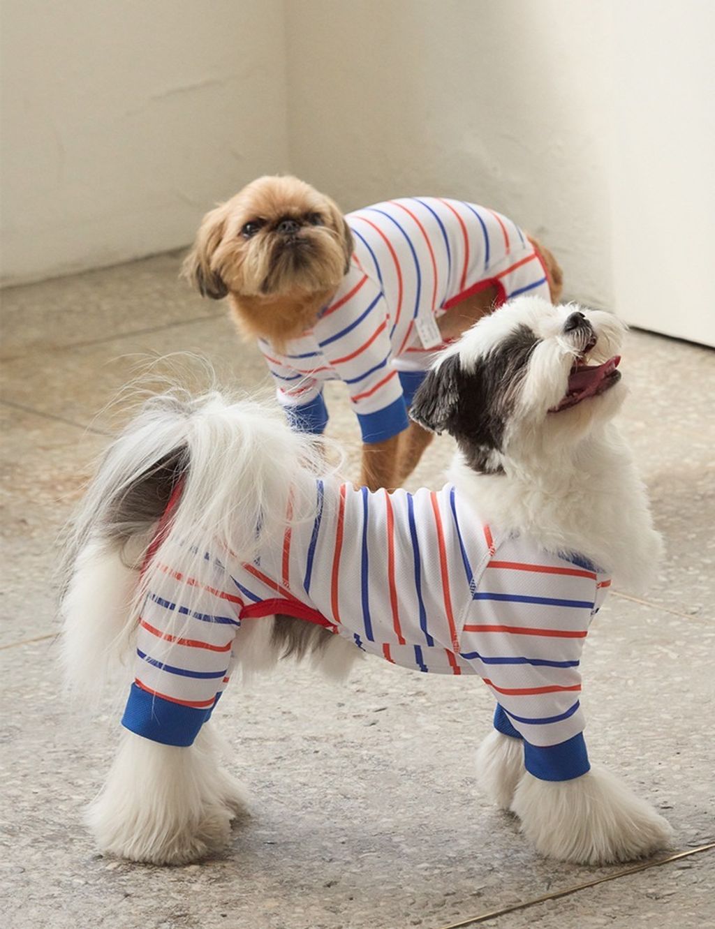 imgi_11_87453d60dfd99