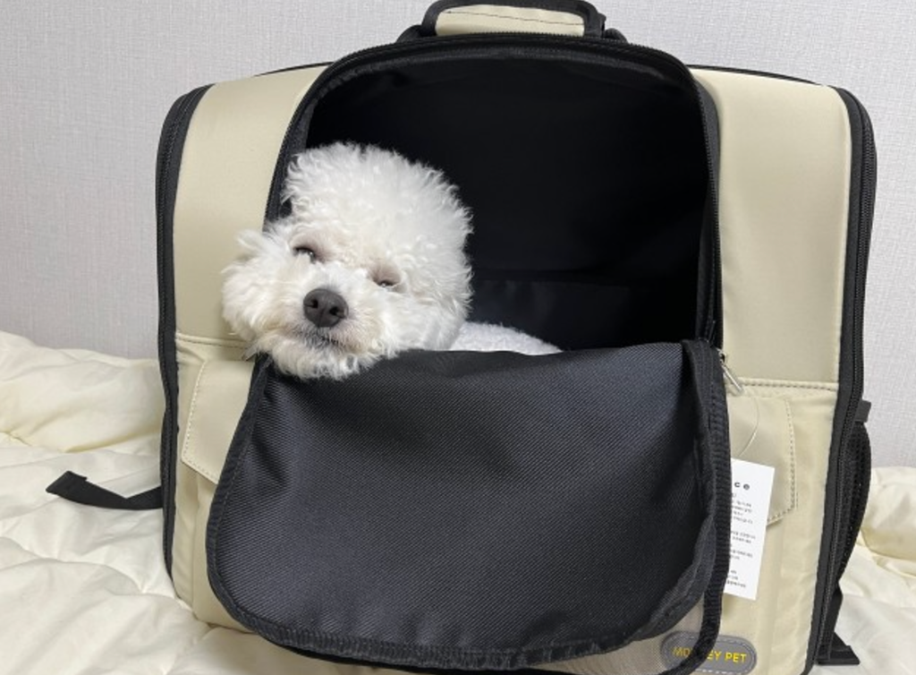 截圖 2024-12-06 上午1.09.58