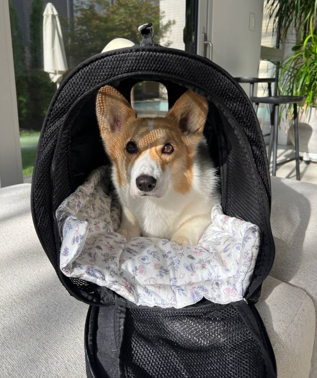 截圖 2024-12-06 上午12.43.58