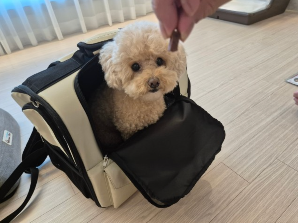 截圖 2024-12-06 上午1.06.46