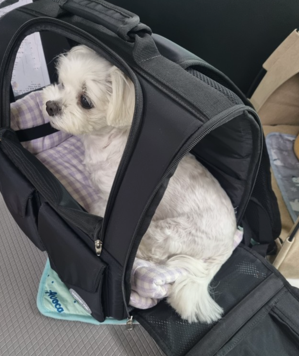 截圖 2024-12-06 上午1.05.36