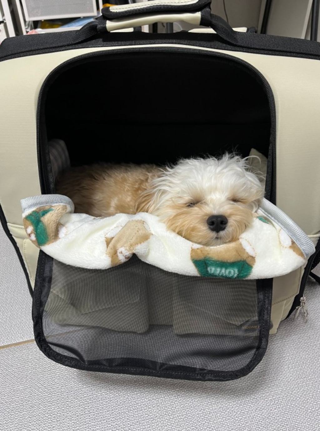 截圖 2024-12-06 上午1.10.28