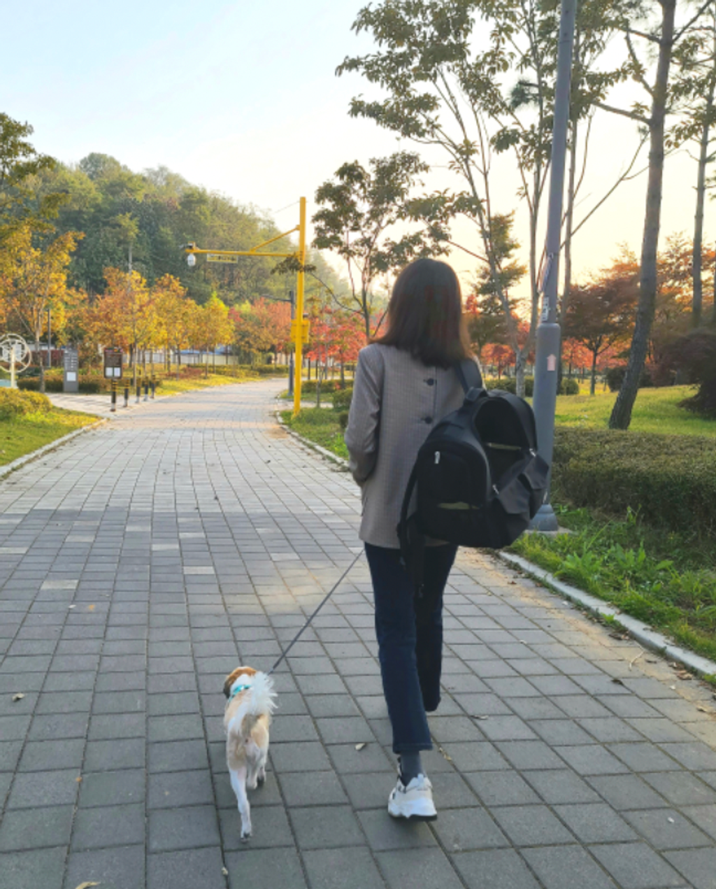 截圖 2024-04-01 下午7.43.05