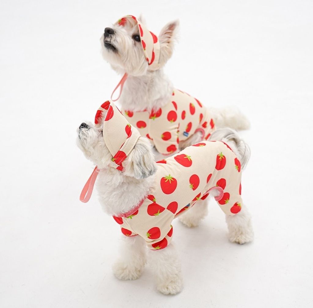 imgi_23_copy-1775088673-2-EC98ACEC9DB8EC9B90EC8381EC84B82_1_03 (1)