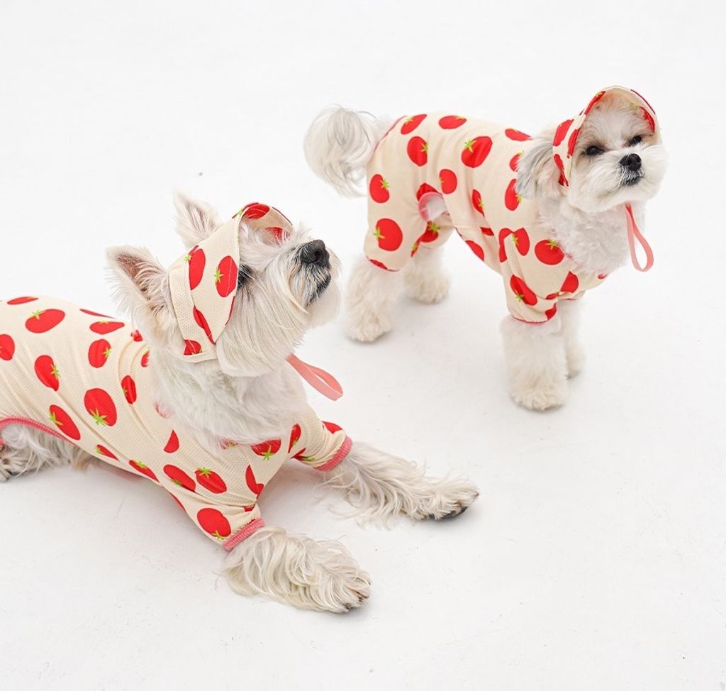 imgi_14_copy-1775088673-1-EC98ACEC9DB8EC9B90EC8381EC84B81_1_04