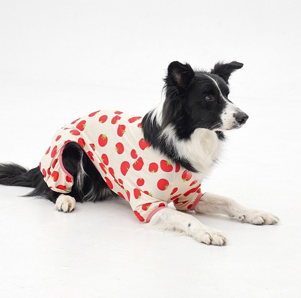 imgi_26_copy-1775088672-2-EC98ACEC9DB8EC9B90EC8381EC84B82_1_06 (1)