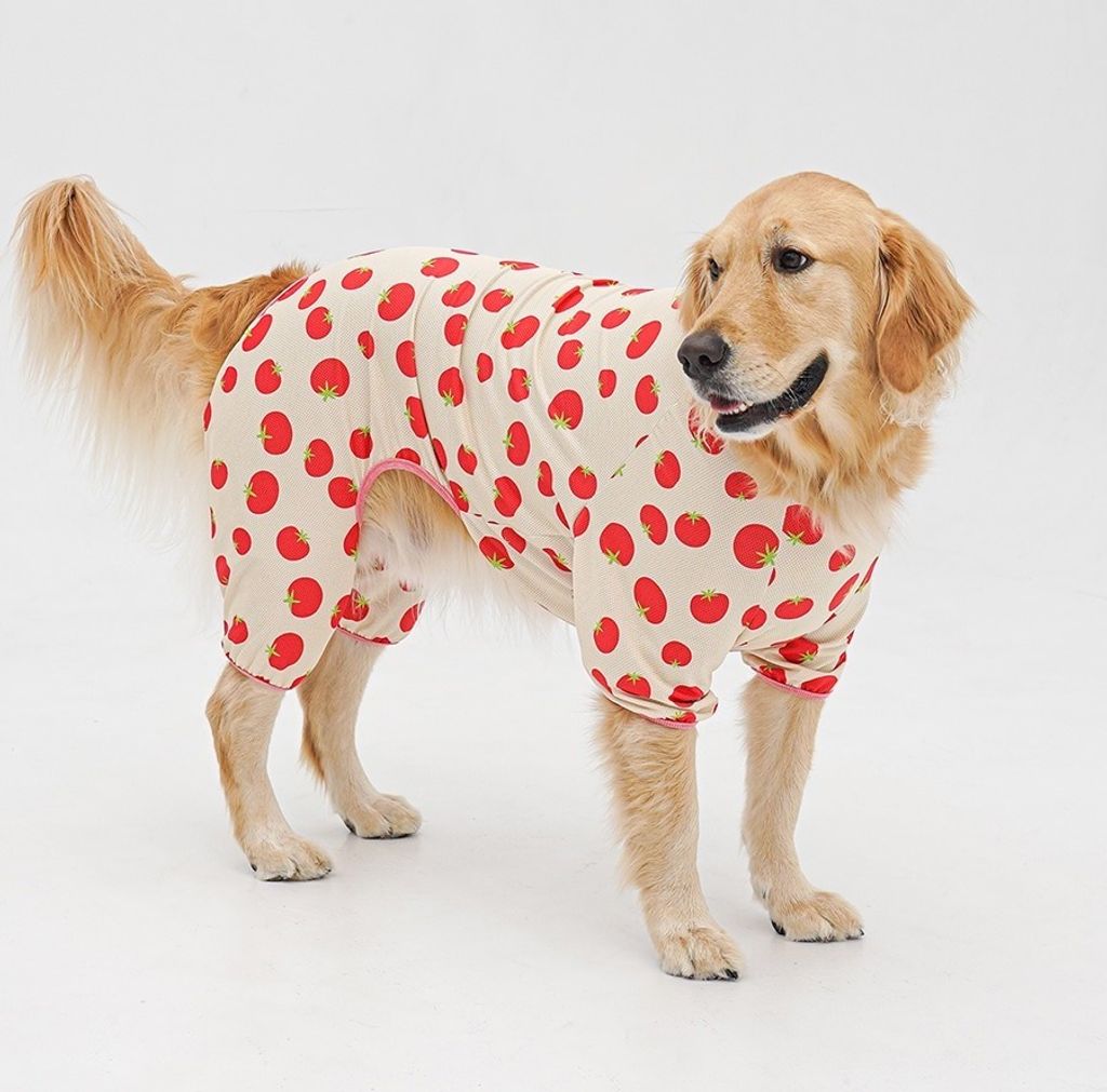 imgi_12_copy-1775088673-1-EC98ACEC9DB8EC9B90EC8381EC84B81_1_02