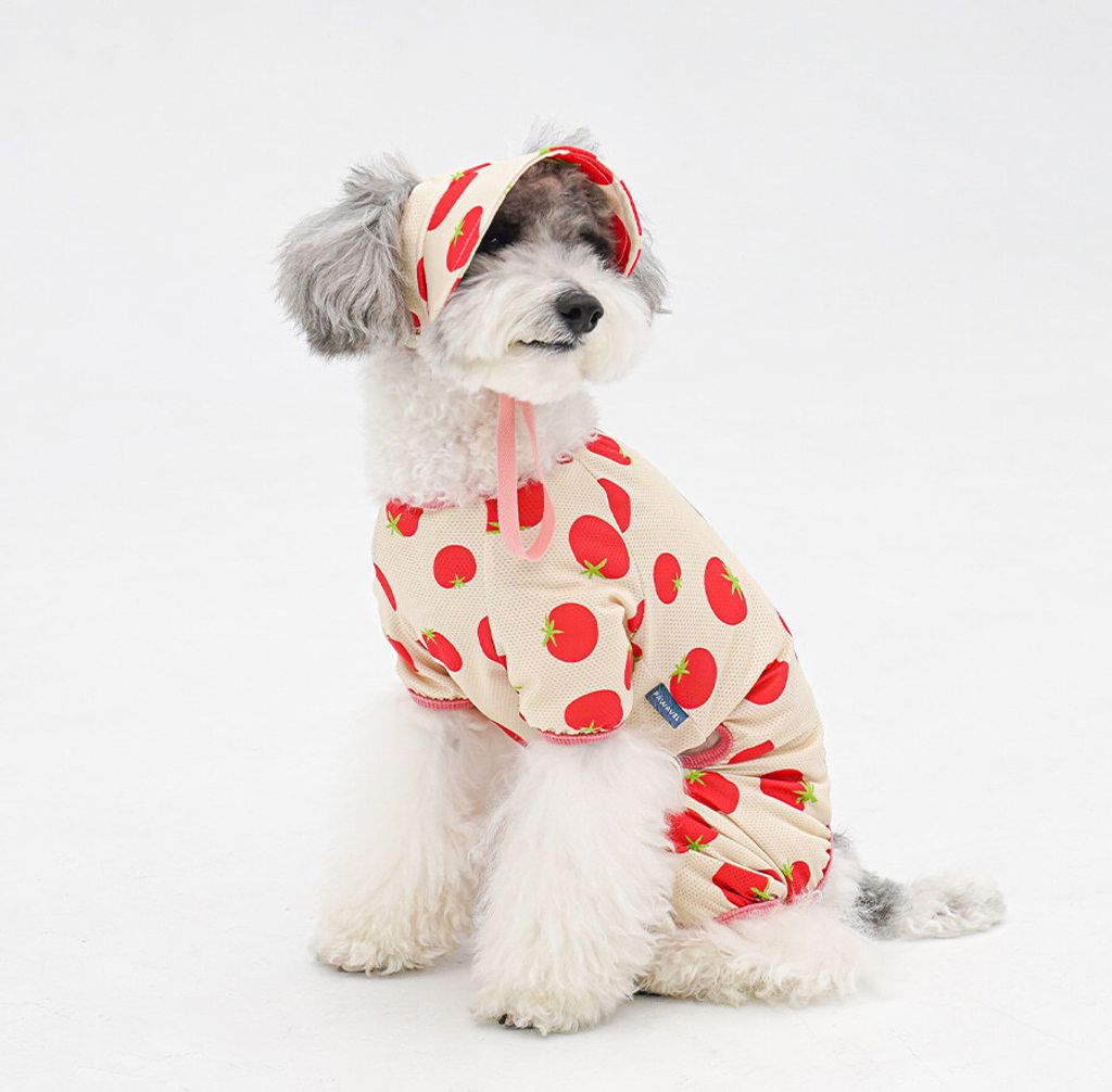 copy-1775088673-2-EC98ACEC9DB8EC9B90EC8381EC84B82_2_02