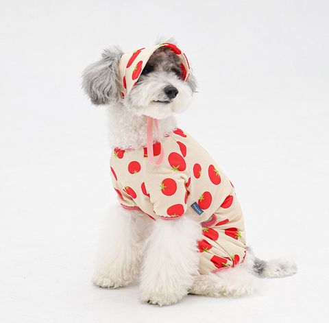 copy-1775088673-2-EC98ACEC9DB8EC9B90EC8381EC84B82_2_02