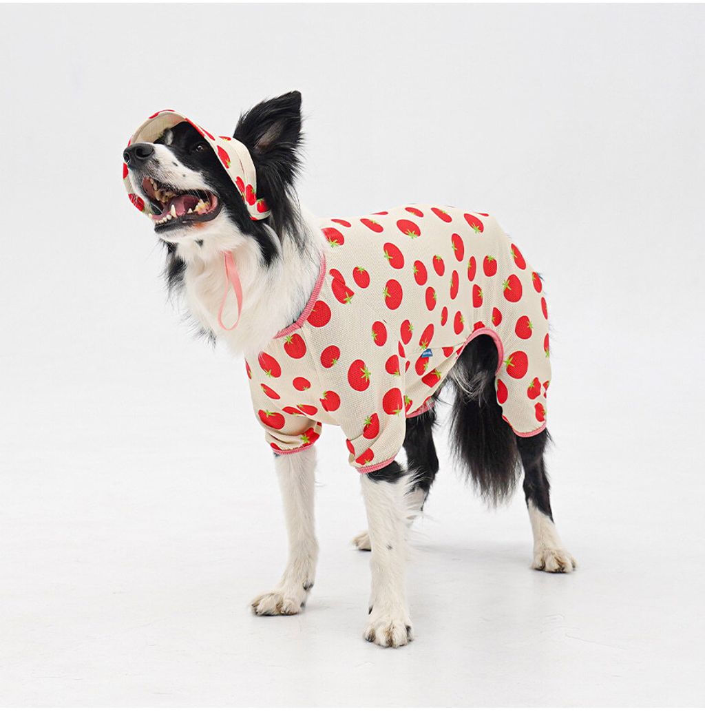 copy-1775088673-2-EC98ACEC9DB8EC9B90EC8381EC84B82_2_02拷貝