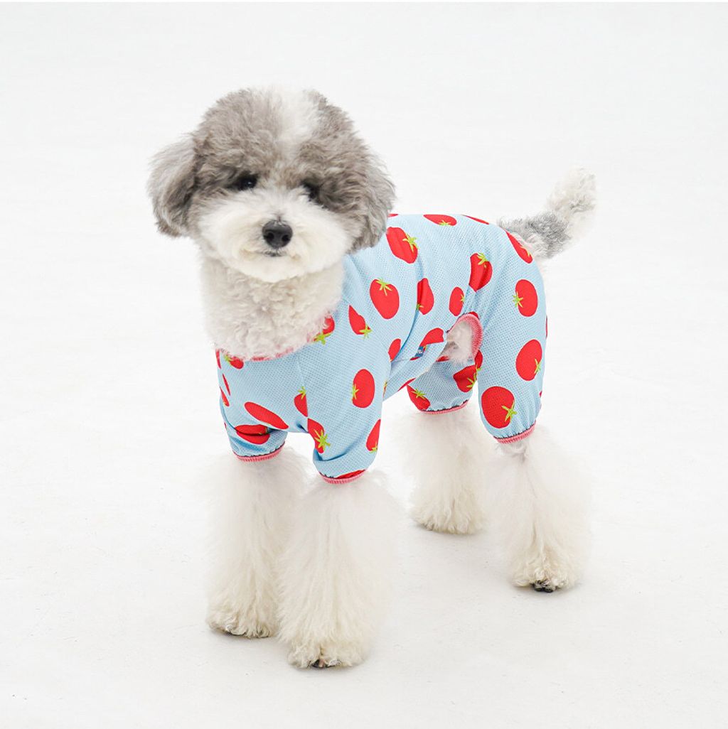 2-EC98ACEC9DB8EC9B90EC8381EC84B82_2_02