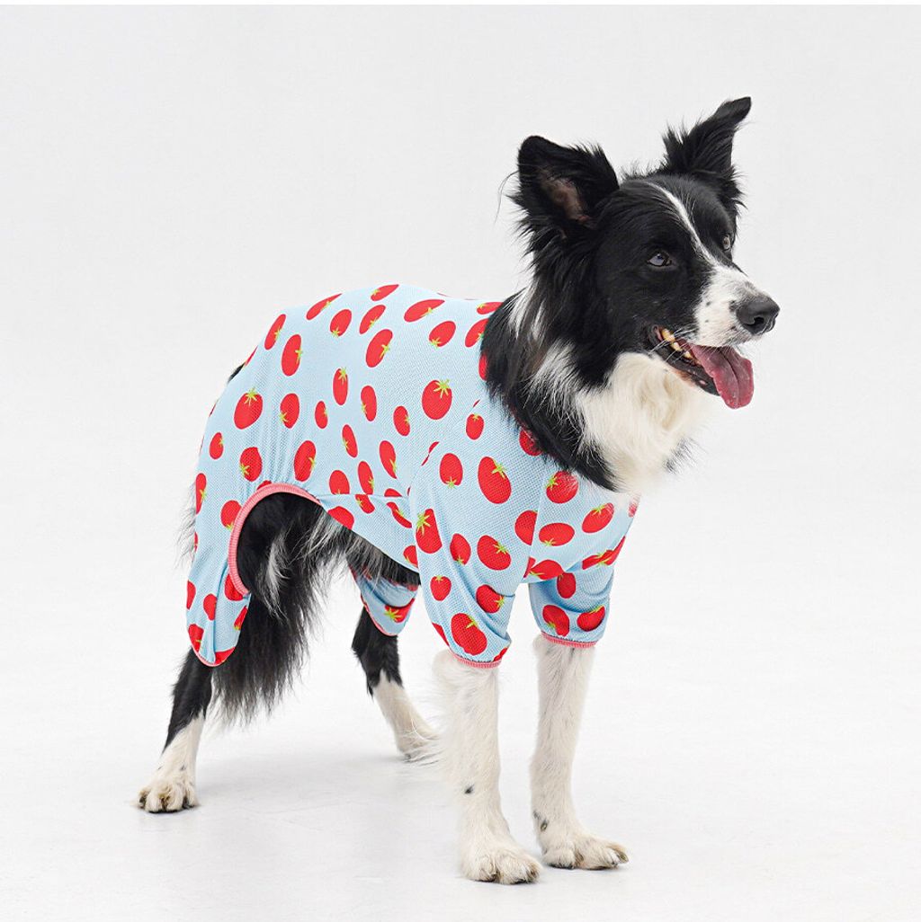 2-EC98ACEC9DB8EC9B90EC8381EC84B82_1_06