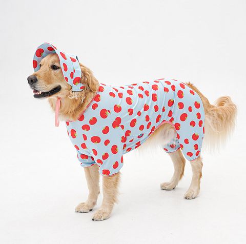 2-EC98ACEC9DB8EC9B90EC8381EC84B82_2_02 (1)