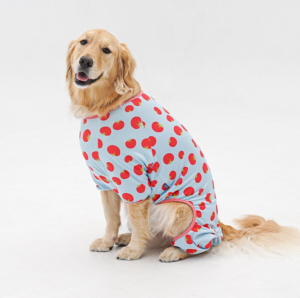 1-EC98ACEC9DB8EC9B90EC8381EC84B81_3_03