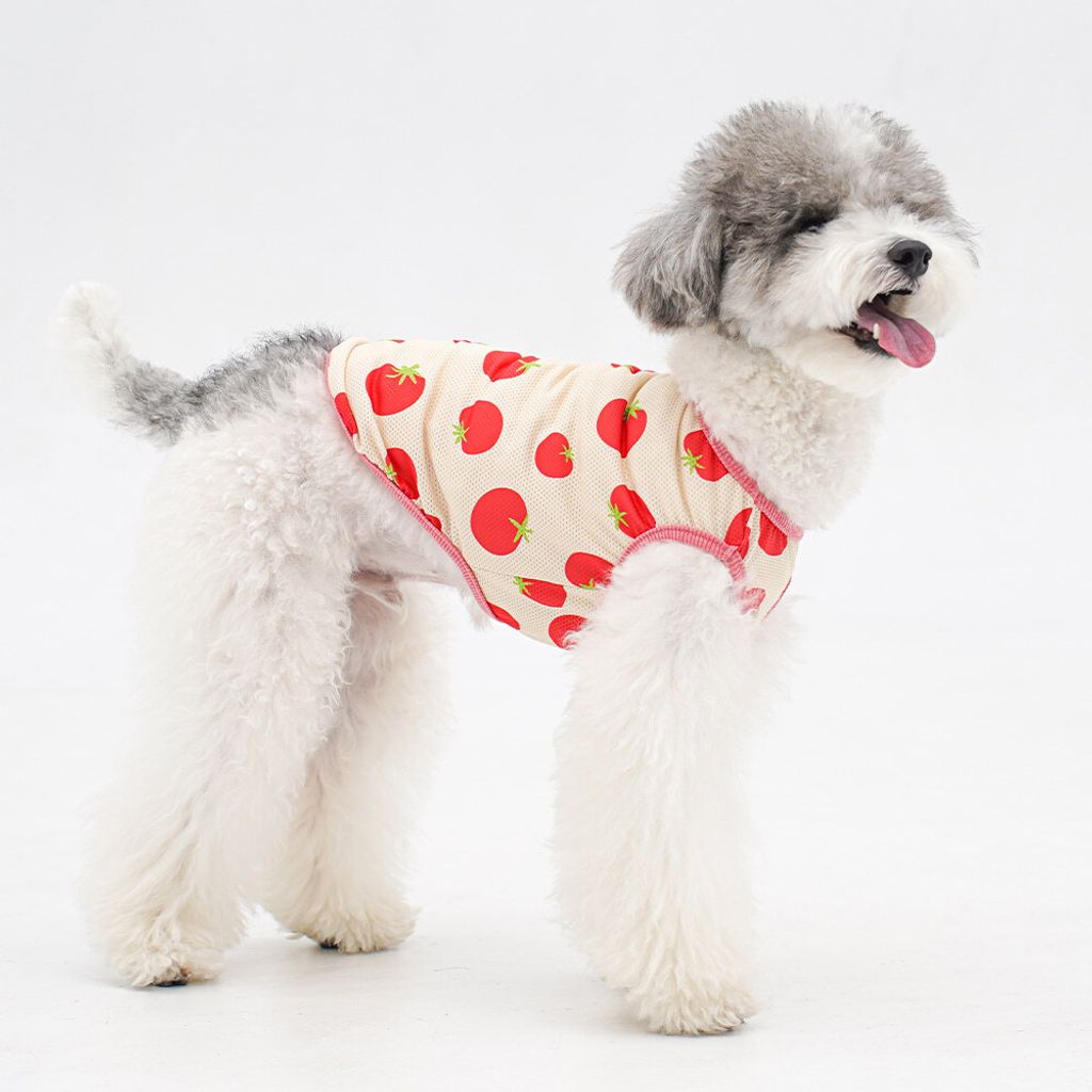 70f67bf1d5d4d4c57cce07db8d2eeca3