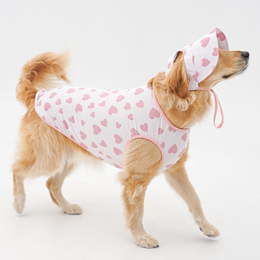 imgi_67_dd654153e8436eea3fd163e2ace62528