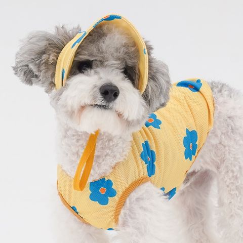 imgi_58_5f0d35ac5e6e7c33d23cf16c06602d30