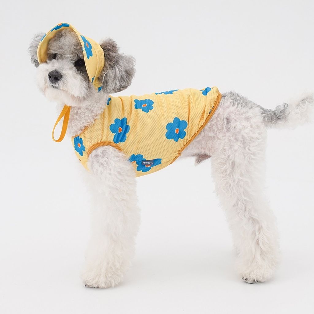 imgi_68_04aa79944aa84eb10dc87d6f0c1d4421