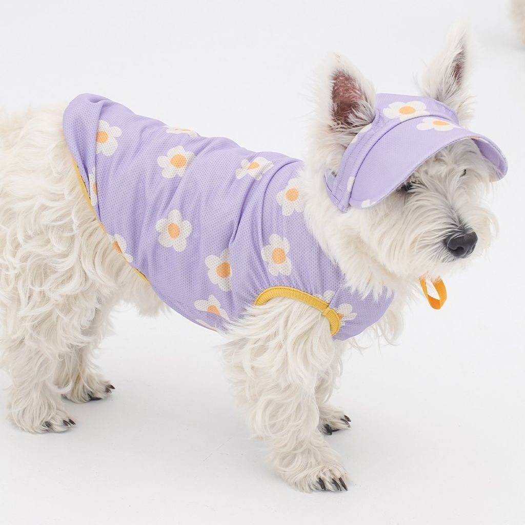 imgi_63_ea8b4290a193ae4700e6c8a07c82a992