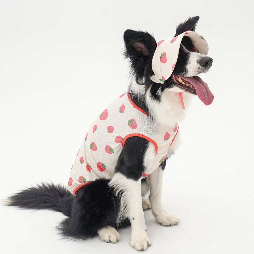 imgi_72_271bf83a71ab28118a1dbb5e95590983