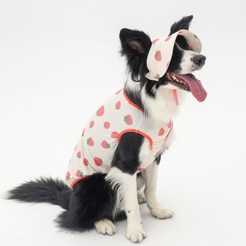 imgi_72_271bf83a71ab28118a1dbb5e95590983