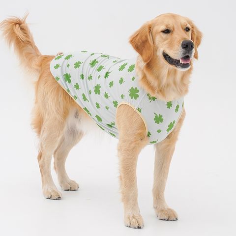 9bd0ec10d2e56592a2353b2333f7d5d0