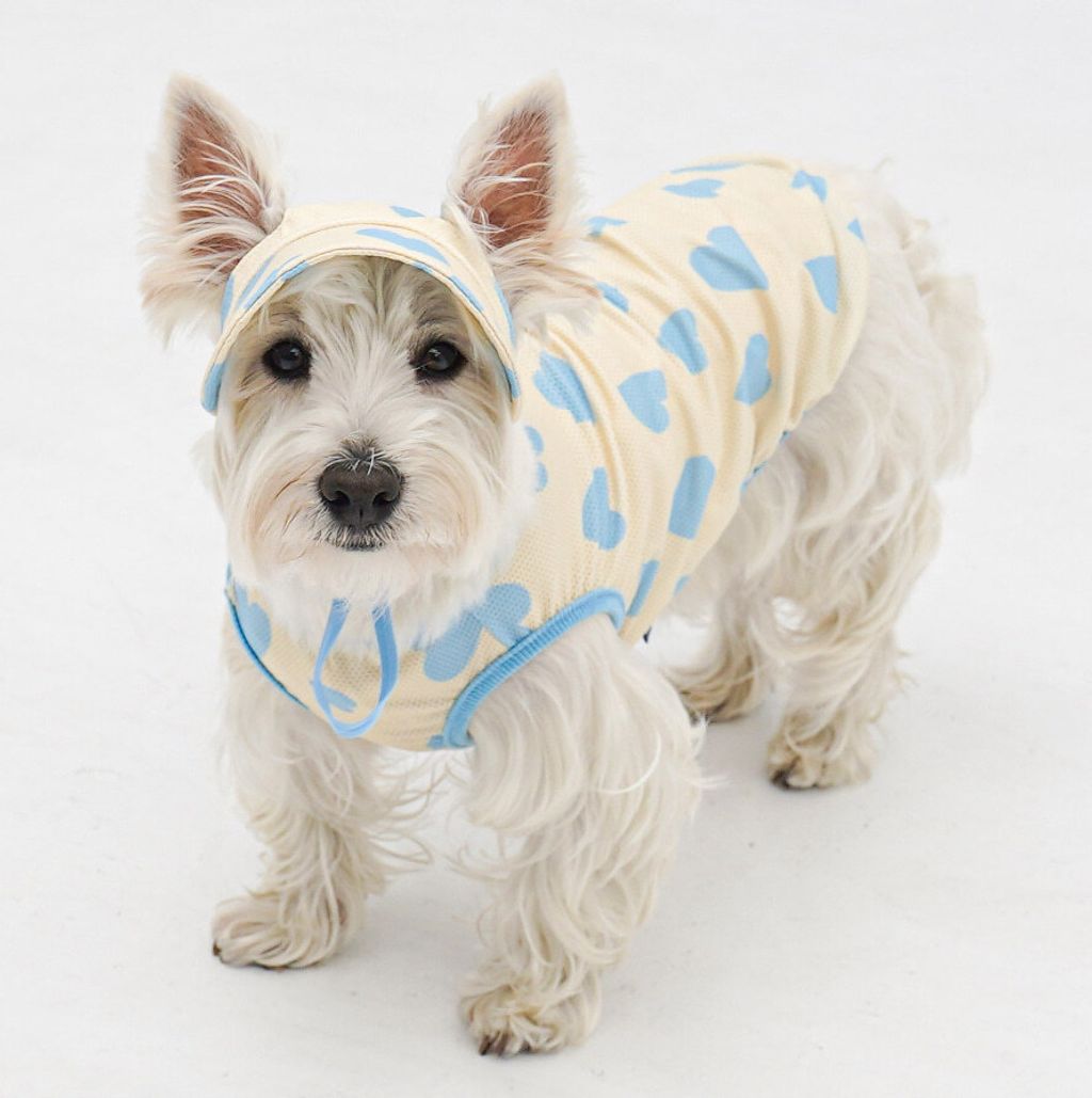 copy-1774874007-2-EBAFBCEC868CEBA7A4EC8381EC84B82_1_06